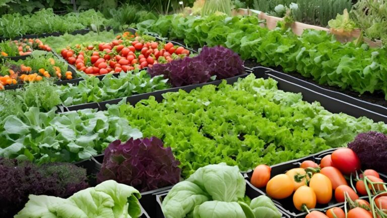 Top Organic Tips for Thriving Vegetable